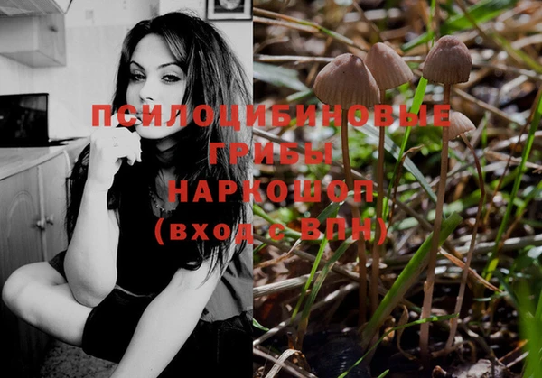 наркотики Карпинск