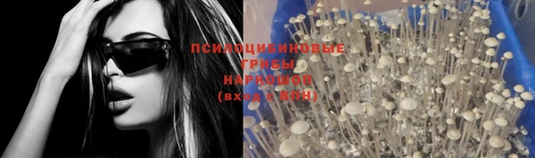 наркотики Карпинск