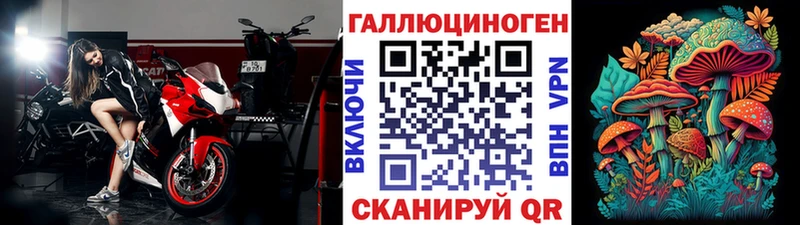 Купить закладки  Городец  Псилоцибиновые грибы прущие грибы 